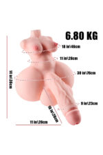6.8kg/15.0lbs Hot Sales Sex Dolls Torso With Penetrable Penis - Image 4